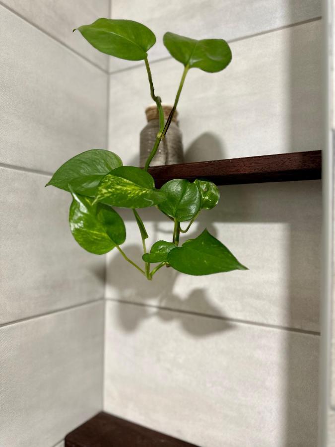 W Apartments コトル エクステリア 写真